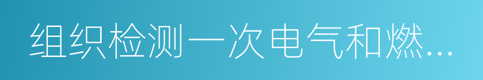 组织检测一次电气和燃气线路设施的同义词