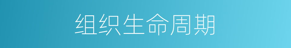 组织生命周期的同义词