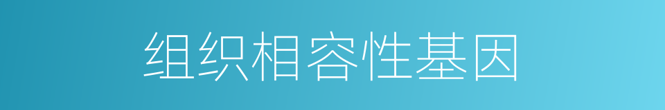 组织相容性基因的同义词