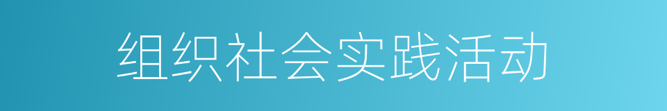 组织社会实践活动的同义词