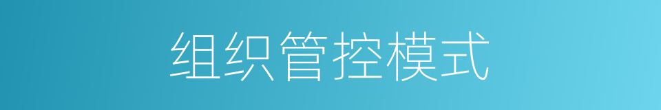组织管控模式的同义词