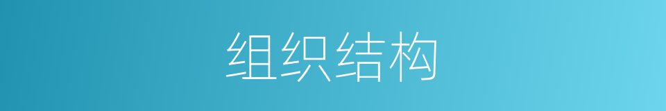 组织结构的意思