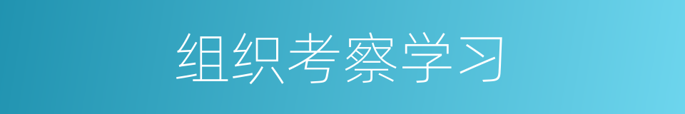 组织考察学习的同义词