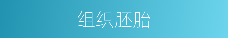 组织胚胎的同义词