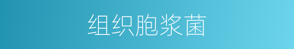 组织胞浆菌的同义词