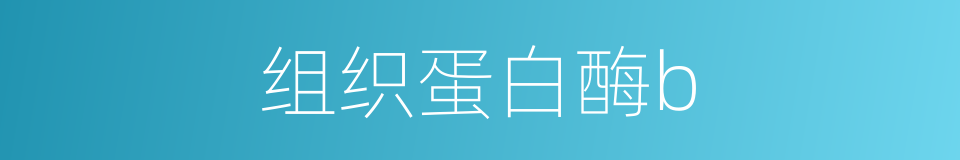 组织蛋白酶b的同义词