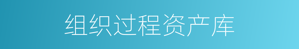 组织过程资产库的同义词