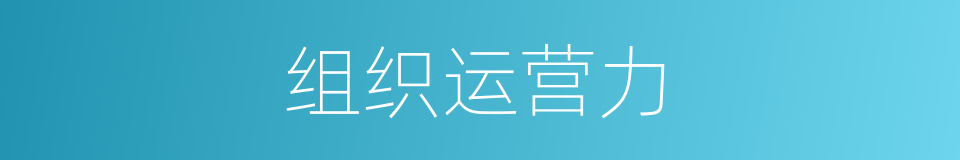 组织运营力的同义词
