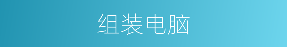 组装电脑的同义词