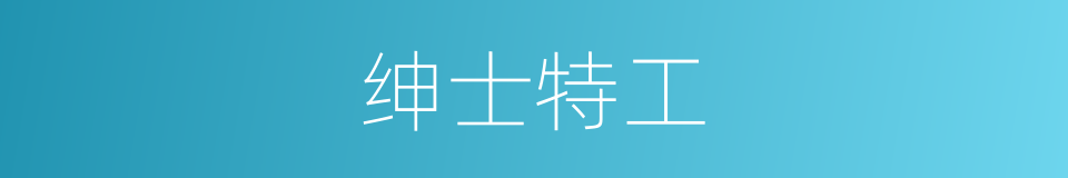 绅士特工的同义词