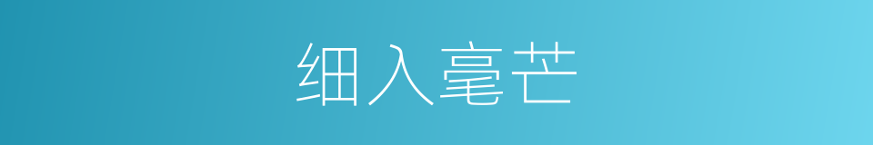 细入毫芒的意思