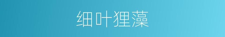 细叶狸藻的同义词
