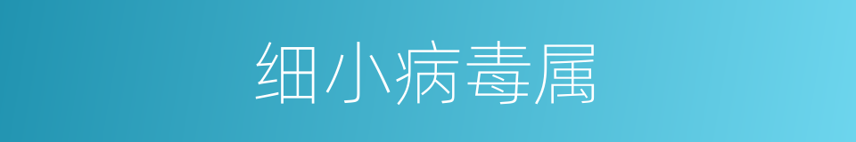 细小病毒属的同义词