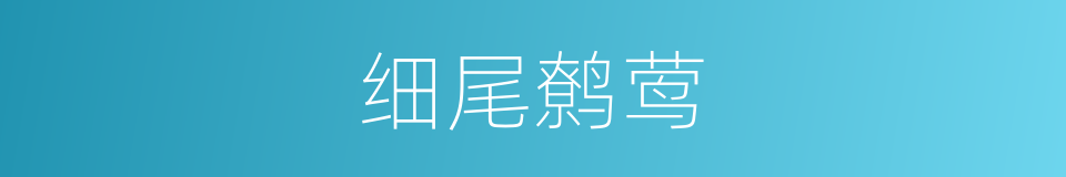 细尾鹩莺的同义词