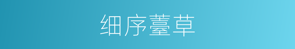 细序薹草的同义词