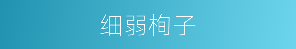 细弱栒子的同义词