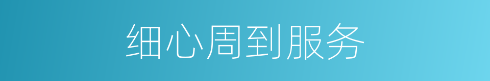 细心周到服务的同义词