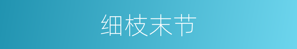 细枝末节的意思