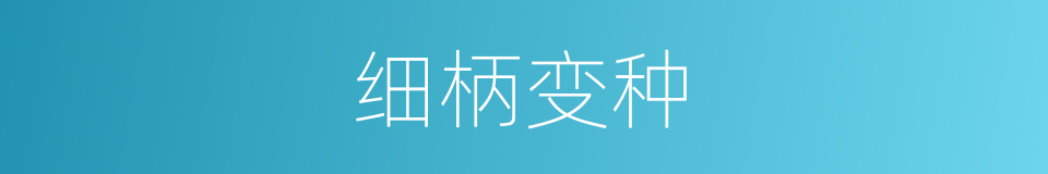 细柄变种的同义词
