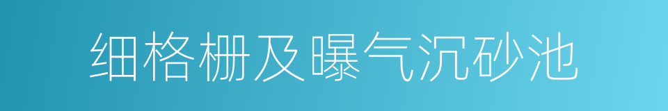 细格栅及曝气沉砂池的同义词