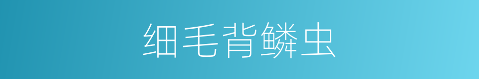 细毛背鳞虫的同义词