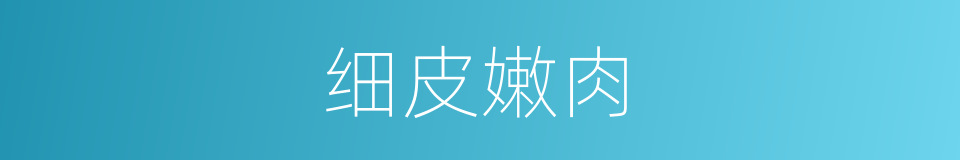 细皮嫩肉的意思