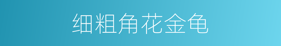 细粗角花金龟的同义词