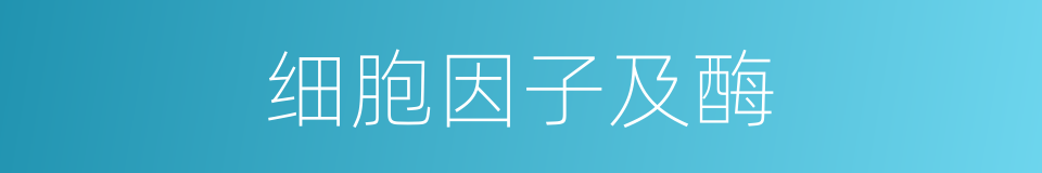 细胞因子及酶的同义词