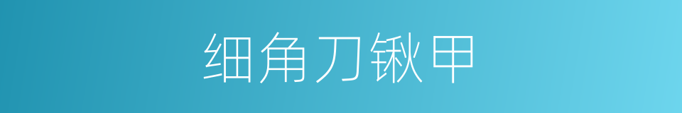 细角刀锹甲的同义词