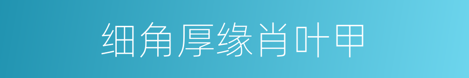 细角厚缘肖叶甲的同义词