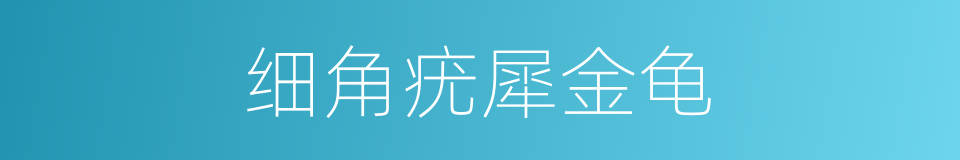 细角疣犀金龟的同义词