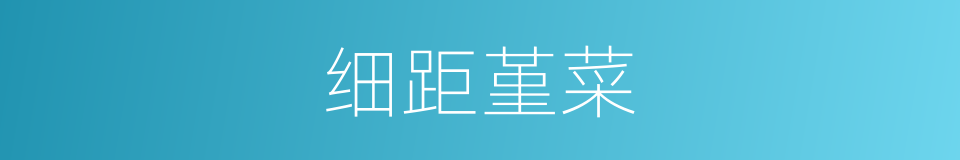 细距堇菜的同义词