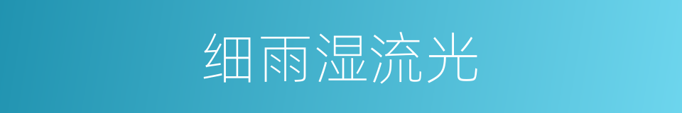 细雨湿流光的同义词