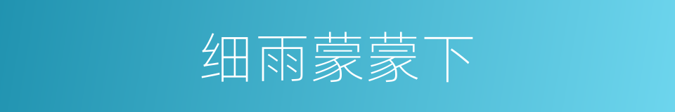 细雨蒙蒙下的同义词