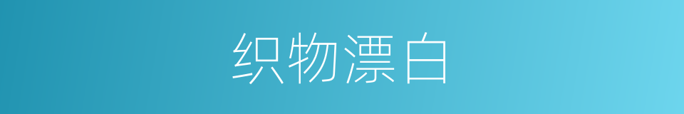 织物漂白的同义词