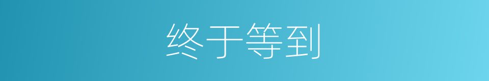 终于等到的同义词
