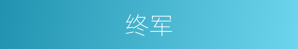 终军的同义词