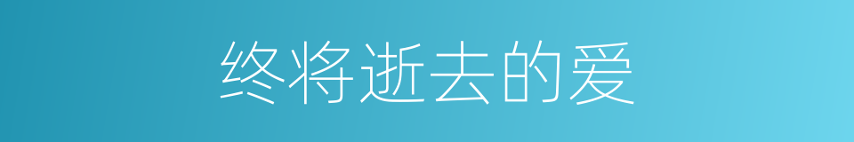 终将逝去的爱的同义词