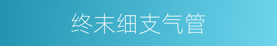 终末细支气管的同义词