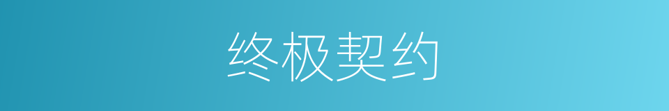 终极契约的同义词
