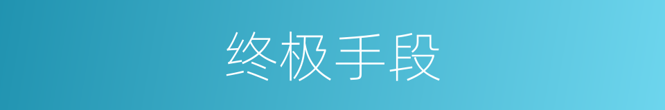 终极手段的同义词