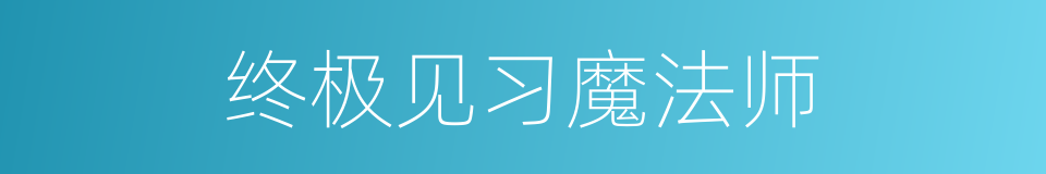 终极见习魔法师的同义词