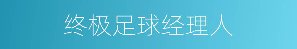 终极足球经理人的同义词