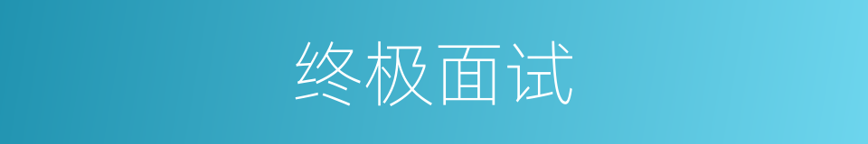 终极面试的同义词