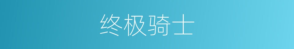 终极骑士的同义词