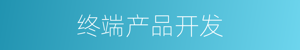 终端产品开发的同义词