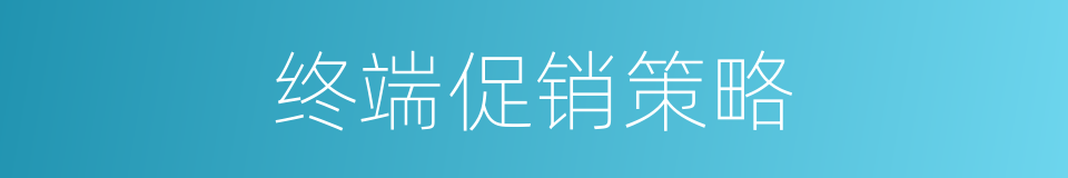 终端促销策略的同义词