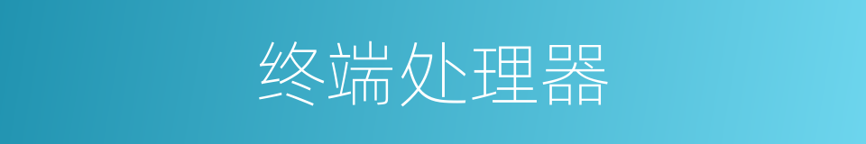 终端处理器的同义词
