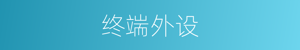 终端外设的同义词