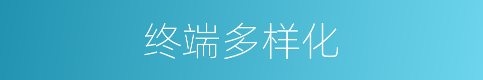 终端多样化的同义词
